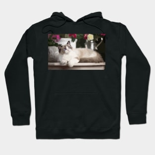 Ragdoll Cat Digital Painting Hoodie